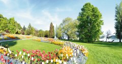 Schweizer Bergwelt und Insel Mainau
