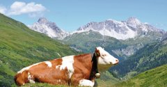  Naturpark Riedingtal
