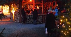 Waldweihnacht  in Halsbach