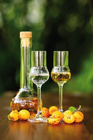 © Christian Jung - fotolia.com