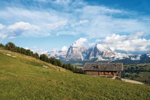 © motivthueringen8-fotolia.com
