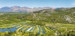 © Goran Jakus-stock.adobe.com