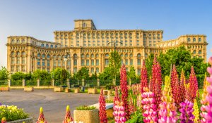 © Balate Dorin - stock.adobe.com