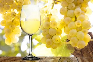 &copy; by-studio - stock.adobe.com