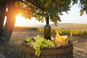 &copy; kishivan - stock.adobe.com