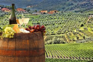 &copy; Tomas Marek - stock.adobe.com