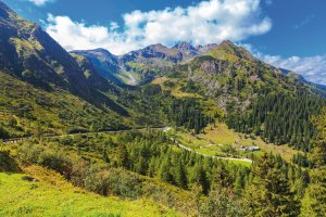 © Friedberg - stock.adobe.com