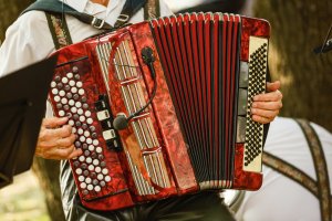 © Angelov - stock.adobe.com