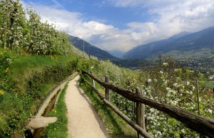 © Ulrich Wagner - stock.adobe.com