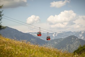 &copy; Tourismusverband Bad Ischl, kuscheiart