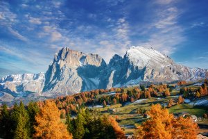 © Vaceslav Romanov - stock.adobe.com