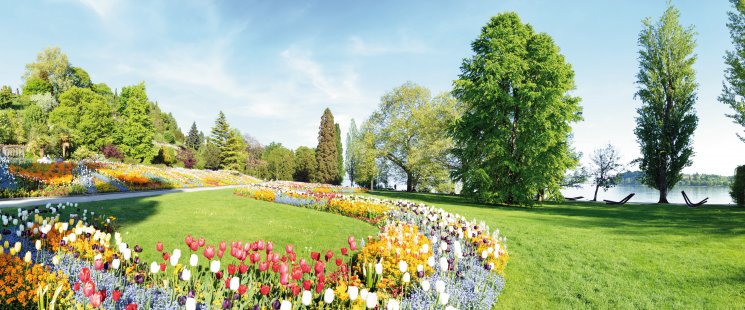 © Naturestock - stock.adobe.com