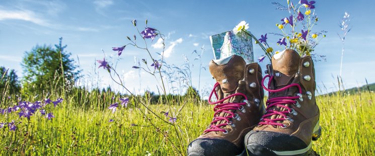 &copy; bietau - stock.adobe.com