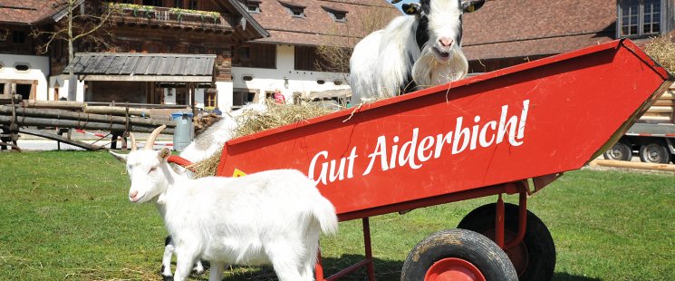 © Gut Aiderbichl