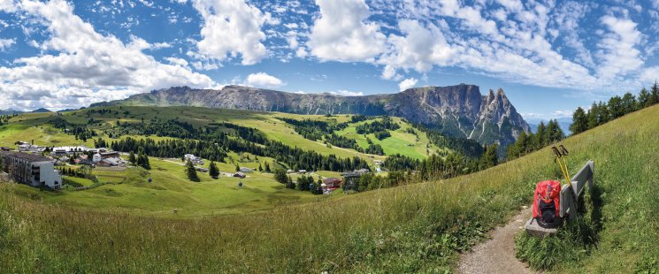 © Henry Czauderna - stock.adobe.com