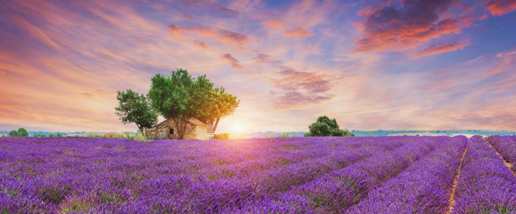 © Igor - stock.adobe.com