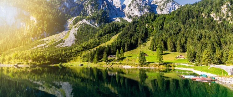 © daliu - stock.adobe.com