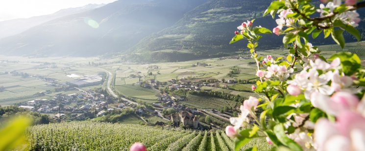 &copy; IDM/Südtiroler Apfelkonsortium/Alex Filz