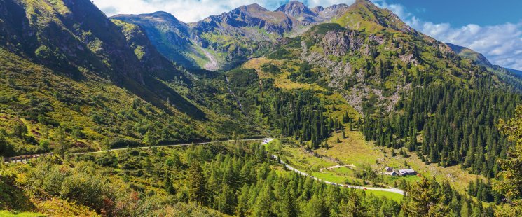 © Friedberg - stock.adobe.com