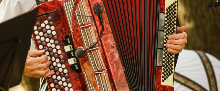 © Angelov - stock.adobe.com