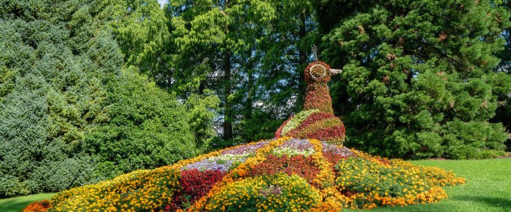 © Bernhard - stock.adobe.com