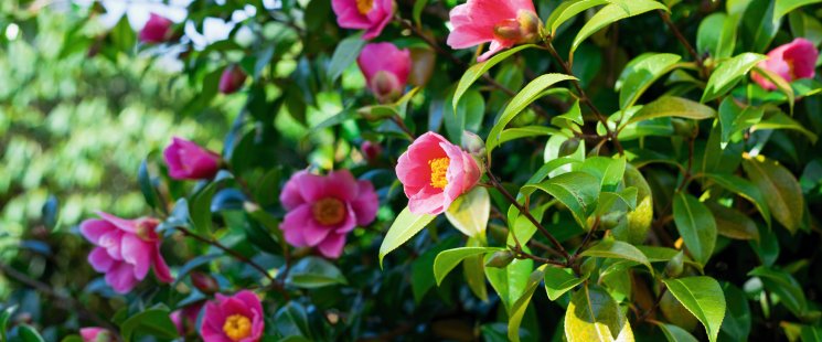 © JoannaTkaczuk - stock.adobe.com