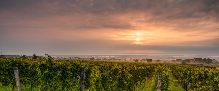 &copy; Jerzy Bin - stock.adobe.com